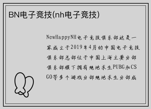 BN电子竞技(nh电子竞技)